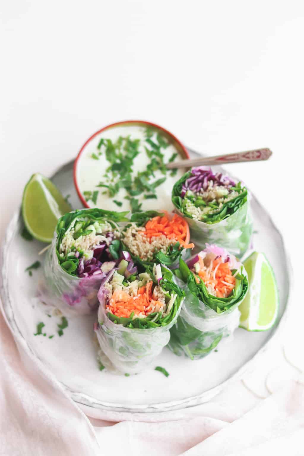 Fresh vegetable summer rolls with carrots, purple cabbage, spinach, brown rice noodles and a yoghurt dip