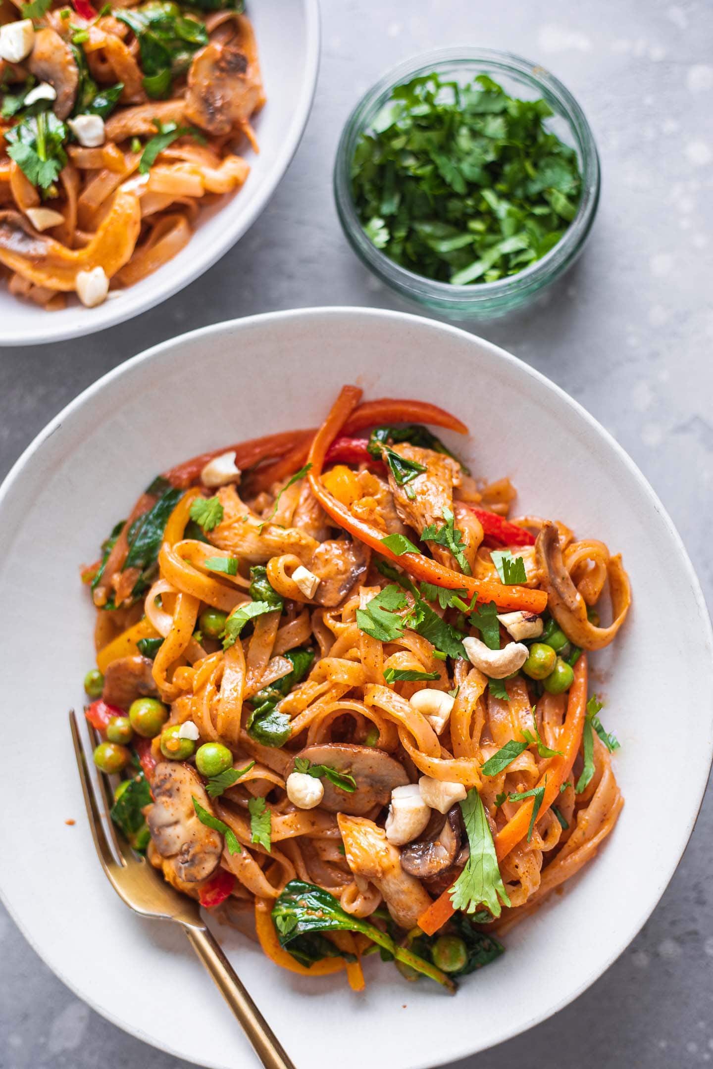 Vegan coconut vegetable noodle stir-fry