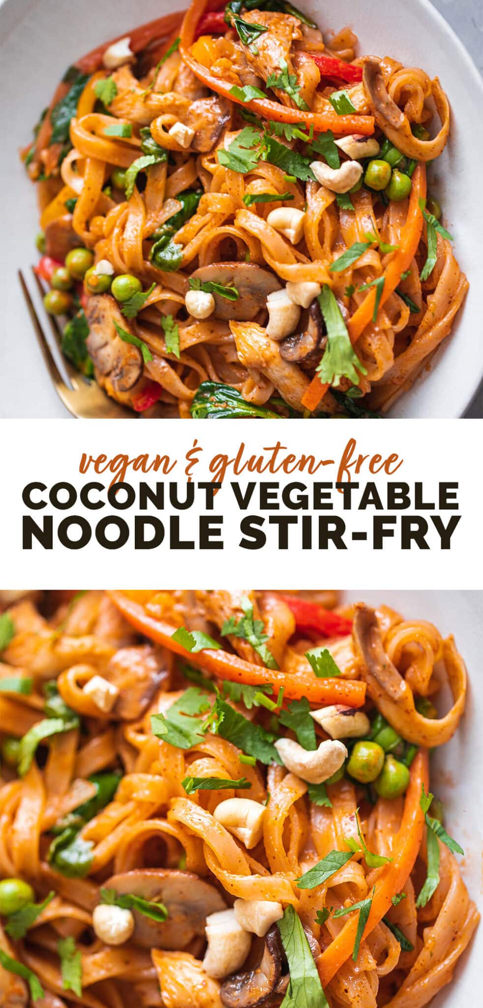Vegan Coconut Vegetable Noodle Stir-fry - Earth of Maria