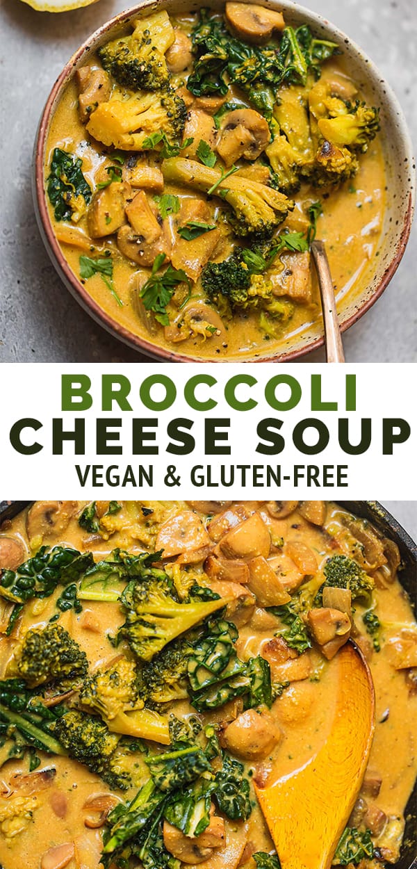 Vegan broccoli cheese soup Pinterest