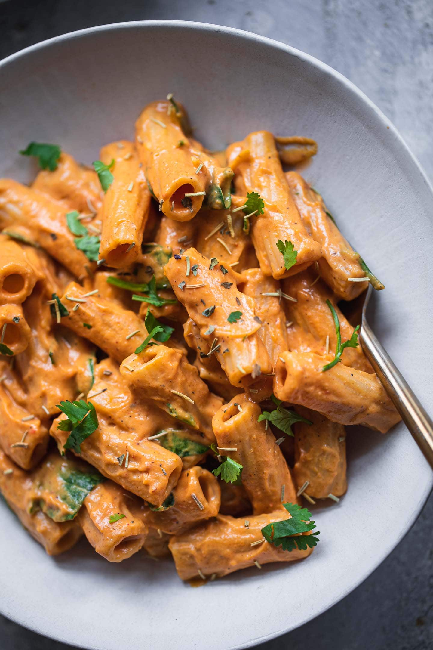 Bowl of rigatoni in a vegetable sauce