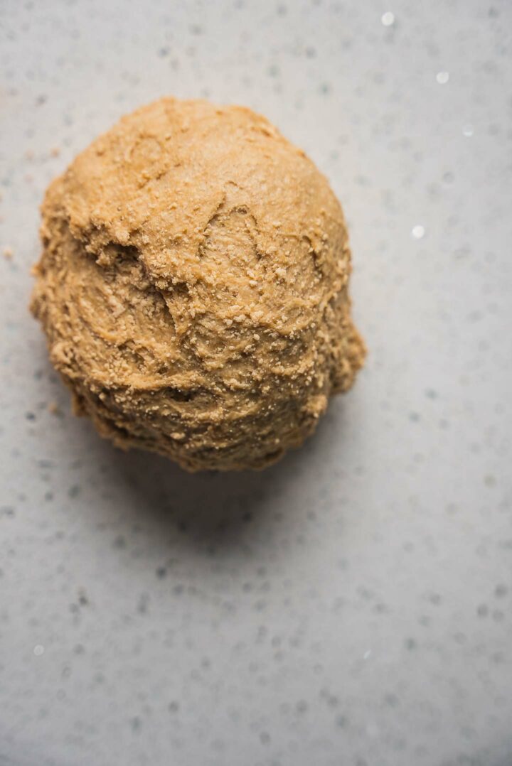 Seitan dough