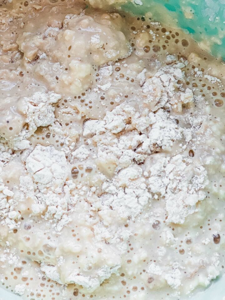 Bread mixture in a bowl